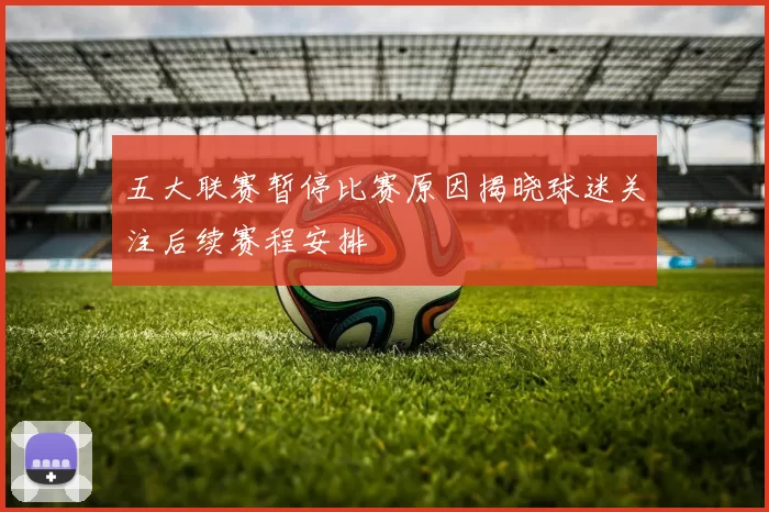 五大联赛暂停比赛原因揭晓球迷关注后续赛程安排