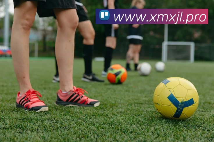 华体app官网登录APP 封面图